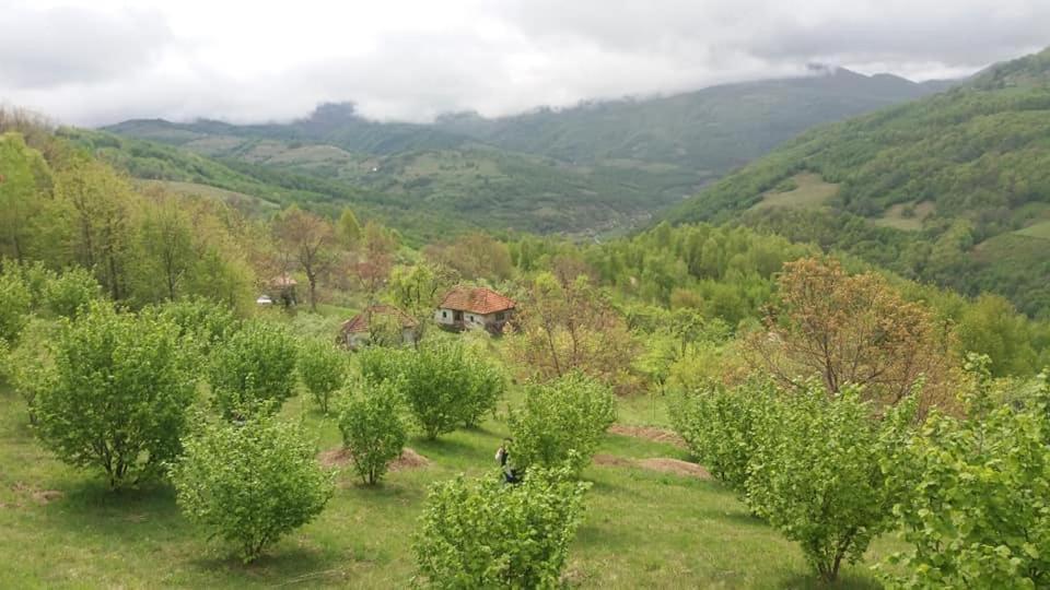 Camera Privata Bulz Dış mekan fotoğraf